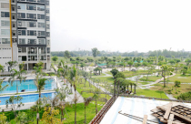 Dự án chung cư thành… đất nền