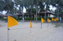 Không cấm người dân tổ chức tiệc trên bãi biển