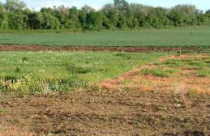 Những chính sách mới về Đất đai có hiệu lực trong tháng 7 (phần 3)