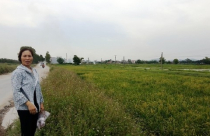 Lấy đất của dân nhưng không ban hành quyết định thu hồi