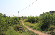 TP.HCM: Cấp phép xây dựng cho nhà nằm trong quy hoạch nhưng chưa có quyết định thu hồi đất