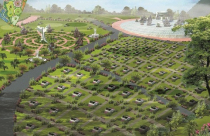 Không cấm nhà đầu tư ngoại kinh doanh nghĩa trang