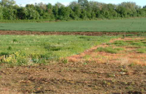 Hà Nội: Khó xử lý nhiều trường hợp vi phạm đất công