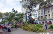 TP.HCM: Nhiều khó khăn trong xây dựng các tuyến đường sắt đô thị