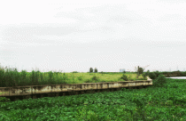 Nơi “bão golf” đi qua (kỳ cuối)