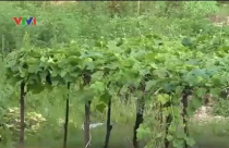 Tăng vốn pháp định BĐS