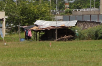 TP.HCM: Kiến nghị cấp sổ đỏ cho nhà, đất không có giấy tờ hợp lệ