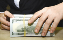 Mở rộng đối tượng vay, tín dụng ngoại tệ tăng vọt