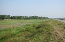 Đấu giá đất liều lĩnh và như đùa!