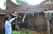 Dự án treo ở Quảng Ngãi: 17 năm nuôi bò giữa lòng thành phố