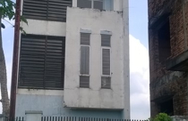 Khu dân cư thành ruộng ngô, dân đua nhau bỏ chạy