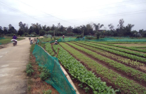 Dân có sổ đỏ 10 năm vẫn chưa được giao đất?