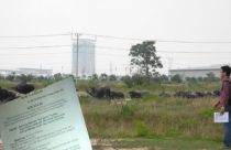 Thủ tướng kết luận về tố cáo của ông Huỳnh Uy Dũng