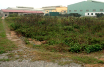 Tìm giải pháp xóa dự án treo để đảm bảo quyền lợi của người dân