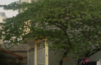 Xử lý vi phạm... trên giấy!?