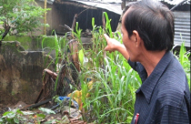 Người dân khổ vì Dự án Trung tâm Chính trị - Hành chính “treo“