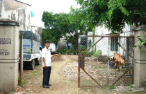 Hơn 20 năm người dân không làm được sổ đỏ: Khổ vì “ông thuế”