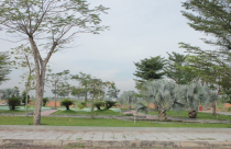 Phố Đông Sài Gòn đón cú hích tổng lực năm 2015