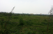 Chết đứng với đất nền dự án