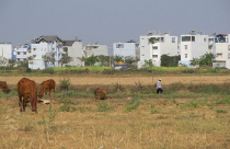 Giảm tiền đất vượt hạn mức