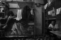 Thiếu nhà ở - Bài toán chưa lời giải của Hong Kong