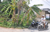 Nhà trong hẻm phải đóng thuế đất cao