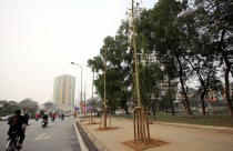 Bất động sản Hà Nội đang “nóng” lên từng ngày