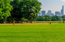 Vingroup khởi công viên Vinhomes Central Park