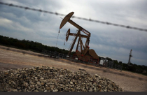 Giá dầu thế giới phi mã, cổ phiếu dầu khí dậy sóng