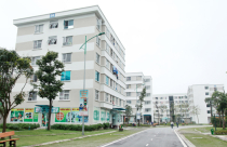 Thị trường BĐS phát triển chưa bền vững