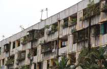 “Trần ai” cải tạo chung cư cũ