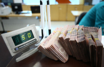 Đất Xanh phát hành hơn 10,6 triệu cổ phiếu để trả cổ tức