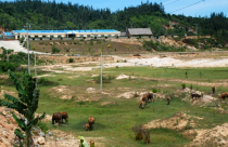 "Bánh vẽ" tỷ USD và bệnh thành tích theo nhiệm kỳ