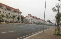 Biệt thự liền kề sốt… rét