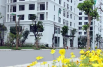 Hà Nội tính chuyện thuê chung cư cao cấp cho dân ở