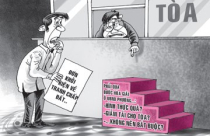 Cà Mau: Bồi thường 259 triệu đồng vì cấp đất tranh chấp