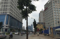 Chung cư nợ tiền sử dụng đất không được bán hàng