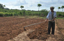 Tìm lời giải cho 3 khu công nghiệp ven sông Hậu