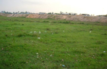 Các khu tái định cư bỏ không vì dự án treo