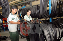 Đồng Nai thu hút gần 3,5 tỷ USD vốn đầu tư từ các nước ASEAN