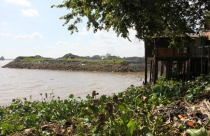 Dự án lấp sông Đồng Nai gây ô nhiễm