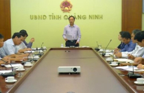 Quảng Ninh chuẩn bị khởi công cao tốc Hạ Long - Vân Đồn