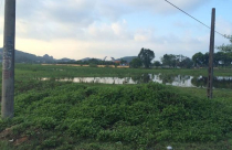 Dự án 3.000 tỷ ở Thanh Hóa: “Nhìn mà xót quá mấy chú à!”