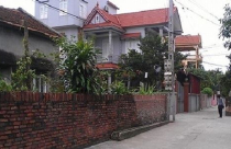 Những giấc mộng an cư