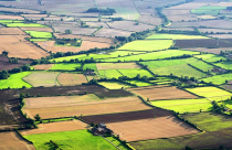 Giá đất nông nghiệp tại Anh đạt kỷ lục mới