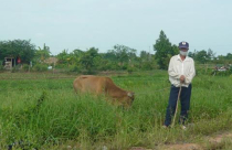 Dự án FDI bỏ hoang: Đừng thấy tỉ đô mà hoa mắt