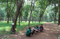 Giải phóng mặt bằng sân bay Long Thành không 'hỗ trợ' giới đầu cơ