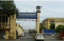 Cháy hàng vì…có đất vàng