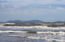 TP.HCM: Lập quy hoạch đô thị lấn biển Cần Giờ 1.080ha