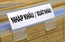 “Tin tốt” sau biến động tỷ giá USD/VND